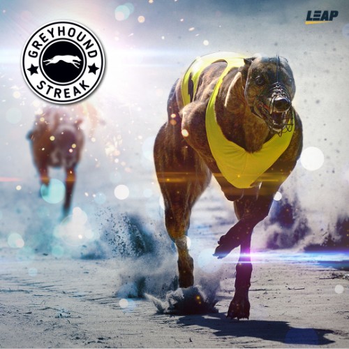 Nrg bet App Screenshot