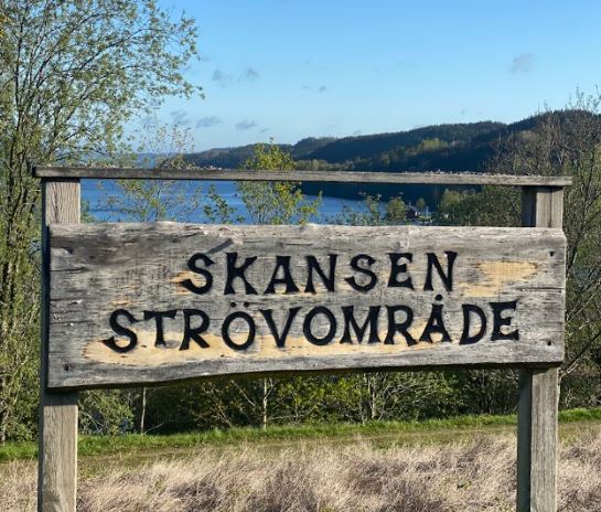 Prova på orientering med Halloweentema