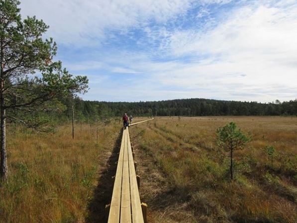 Vandring Heråmaden/Bastedalen